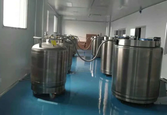 氣相存儲(chǔ) 氣相存儲(chǔ)