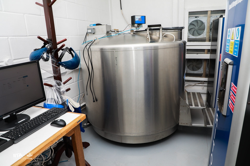 氣相液氮存儲(chǔ)系統(tǒng) 氣相液氮存儲(chǔ)系統(tǒng)