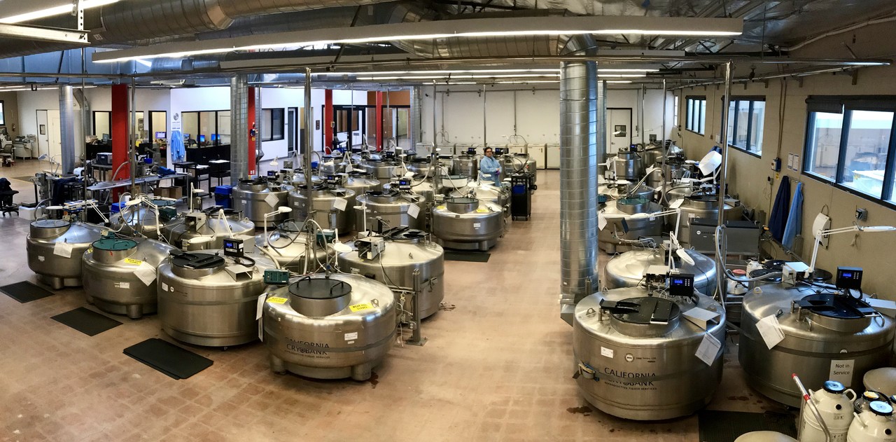 氣相存儲(chǔ) 氣相存儲(chǔ)